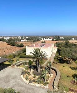an aerial view of a building with a palm tree at Maison Mimosa, lovely 3 bedroom villa with a Large pool in Essaouira