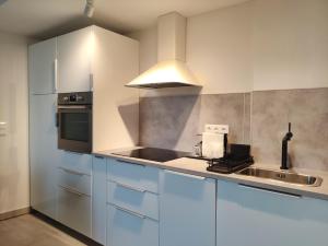Kuchyňa alebo kuchynka v ubytovaní Sunshine Residence Deluxe Apartment
