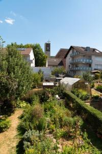 a garden in front of a building at Ferienwohnung Spessart in Straßbessenbach