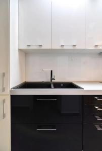 Una cocina o cocineta en Excellent apartment luxuriously renovated