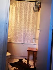 a bathroom with a toilet and a shower curtain at Apt confortable au pied des pistes et de la forêt in Bolquere Pyrenees 2000