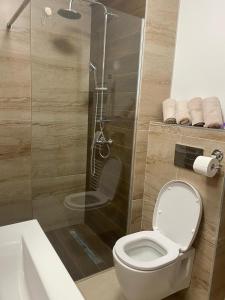 uma casa de banho com um WC e uma cabina de duche em vidro. em Apartman 306 em Lukavica