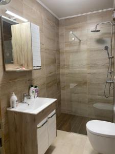 uma casa de banho com um lavatório, um WC e um chuveiro em Apartman 306 em Lukavica