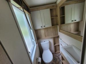 a small bathroom with a toilet and a sink at Flamingo Lodge - Mallard Lake in South Cerney