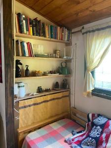 a room with a book shelf with books at Cabaña Soñada frente al Rio in Tigre