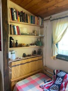 Habitación con estantería con libros en Cabaña Soñada frente al Rio en Tigre