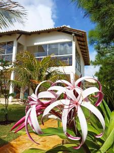 een roze en witte bloem voor een huis bij Casa do Capitao in Guajiru