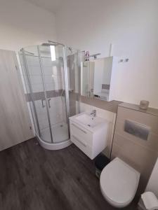 een badkamer met een douche, een toilet en een wastafel bij Apartament Suite 3 in Bernburg