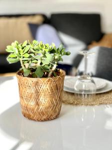 roślina w koszyku siedząca na stole w obiekcie BOHO APARTMENT: NETFLIX + BALCONY + BATHTUB w Essen