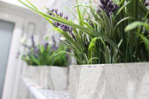 Κήπος έξω από το Zaro Suites B&B