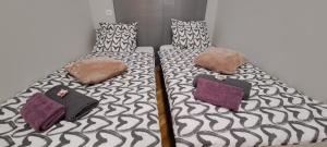 dos camas sentadas una al lado de la otra en una habitación en 6-Pack Apartment in the Party District, en Budapest
