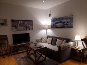 a living room with a couch and a tv at Brzeće Center Studio Mitrovski Gondola 300m in Kopaonik +29 photos