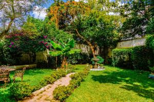 Fotografie z fotogalerie ubytování Posada las Margaritas v destinaci Guadalajara + 37 fotografií
