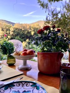 a table with a plate of fruit and a potted plant at La Fucinaia Pet Friendly B&B in Campiglia Marittima