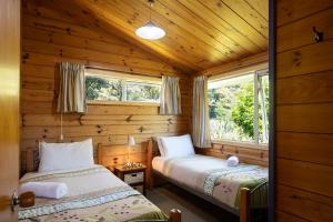 a bedroom with two beds in a log cabin at Driftwood Cottage in Punakaiki