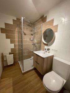 W łazience znajduje się toaleta, prysznic i umywalka. w obiekcie Appartement 53m2 rénové dans un chalet au coeur de Charmey avec vue sur les montagnes w mieście Charmey
