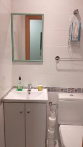 Ένα μπάνιο στο Loft Plaza Mayor +8 φωτογραφίες