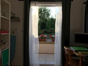雅芳河畔布拉福的住宿－Garden studio in Bradford on Avon，窗户配有白色窗帘,享有花园的景色