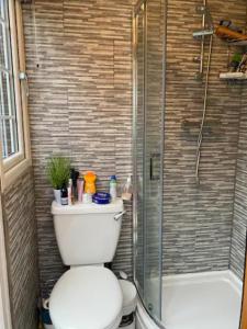 a bathroom with a toilet and a glass shower at Specious Room in Northolt in Northolt