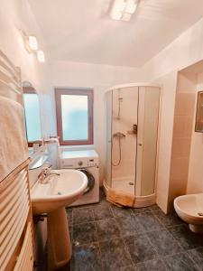 a bathroom with a shower and a sink and a toilet at Cheerful 4-bedroom & kids friendly home in Predeal