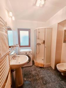 a bathroom with a shower and a sink and a toilet at Cheerful 4-bedroom & kids friendly home in Predeal +26 photos