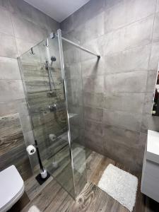 Koupelna v ubytování A-765 Apartman
