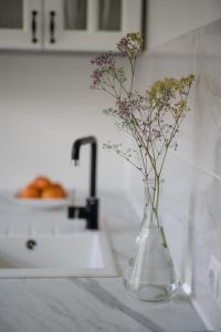 希奥利艾Nica Apartment的花瓶在柜台上的玻璃瓶