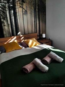 Posteľ alebo postele v izbe v ubytovaní Apartament Na Szlaku