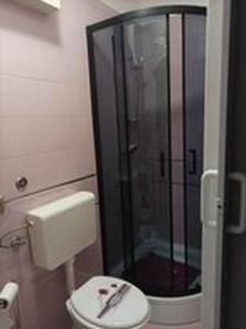 a bathroom with a shower and a toilet in it at Studio apartman"Mirjana", Podhum 368 in Podhum