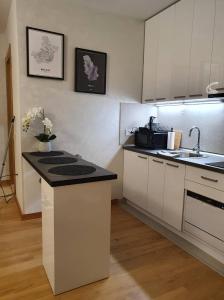a kitchen with white cabinets and a counter top at Centar view lux in Novi Sad
