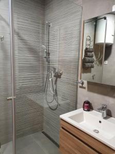 La salle de bains est pourvue d'une douche et d'un lavabo. dans l'établissement Centar view lux, à Novi Sad