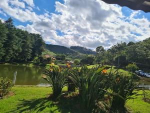 a view of a pond with flowers in a park at Chalés Tia Nastácia in Monteiro Lobato