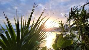 Suites Villa Forte Santana في فلوريانوبوليس: غروب الشمس على جزء من الماء بالنباتات
