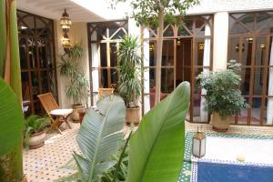 Zahrada ubytování Riad Belle Epoque