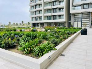 Zahrada ubytování Hermoso y cómodo departamento en Concón - Ecocostas