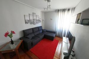 sala de estar con sofá y alfombra roja en Apartamento centro Barakaldo BEC, Parking Incluido en Barakaldo