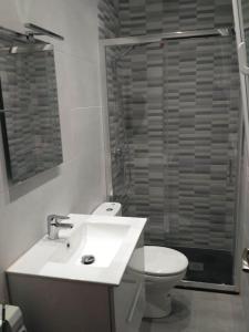 een badkamer met een wastafel, een toilet en een douche bij Apartamento centro Barakaldo BEC in Barakaldo