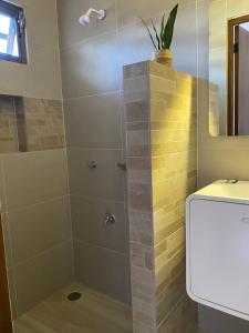 uma casa de banho com um chuveiro e um lavatório. em Hotel San Julio em Celestún