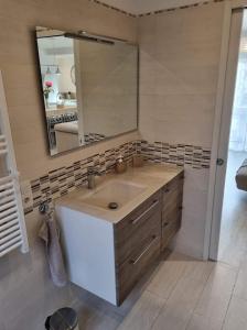 ein Badezimmer mit einem Waschbecken und einem großen Spiegel in der Unterkunft Joli 3 pièces à proximité des plages à Cagnes /mer in Cagnes-sur-Mer
