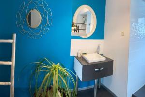 拉尼翁的住宿－Logement indépendant,calme à 2 pas du centre ville，浴室设有水槽、镜子和盆栽植物
