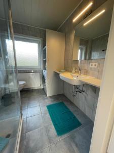 uma casa de banho com um chuveiro, um lavatório e um espelho. em Ferienhaus Mühlengrund em Grundhof