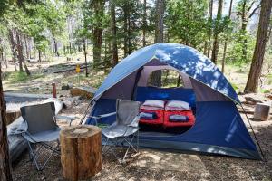 een blauwe tent met een bed en stoelen in een bos bij Evergreen Lodge at Yosemite in Groveland