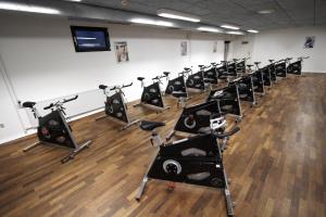 Fitness centrum a/nebo fitness zařízení v ubytování Hotel Legoland
