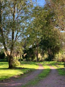 Hambyeにある« Le petit verger »の木々や芝生が茂る公園内の未舗装道路