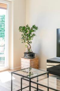 A television and/or entertainment centre at La Dolce Vita - Sunny Penthouse Trastevere Station 100sqm