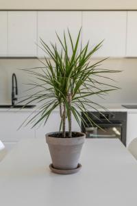 A kitchen or kitchenette at La Dolce Vita - Sunny Penthouse Trastevere Station 100sqm Még 32 kép