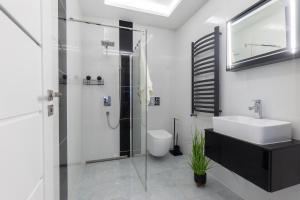 a bathroom with a shower and a sink and a toilet at Szampan i Truskawka in Toruń +10 photos