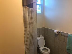 a bathroom with a toilet and a shower with a window at Palmvillo in Thibaud