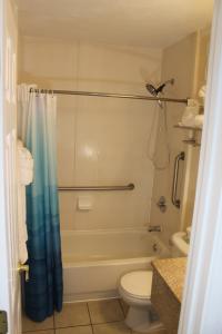 La salle de bains est pourvue d'une baignoire, de toilettes et d'une douche. dans l'établissement Fun-N-Sun with Spectacular Ocean Views, à Tampa