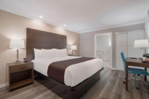 a hotel room with a large bed and a desk and a desk at SureStay Plus Hotel by Best Western Upland - Ontario North in Upland